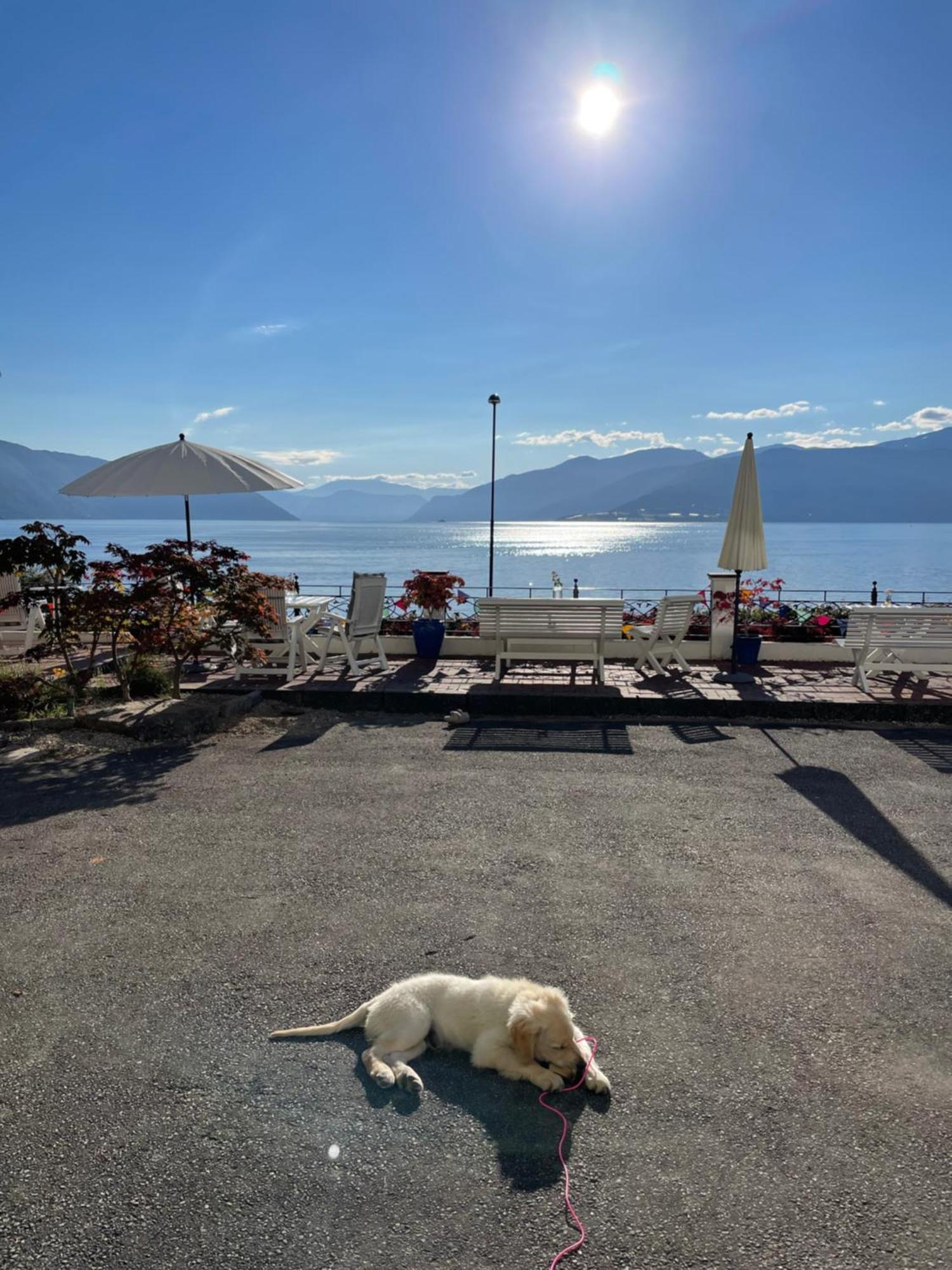 Hotell Balestrand Hotel Balestrand